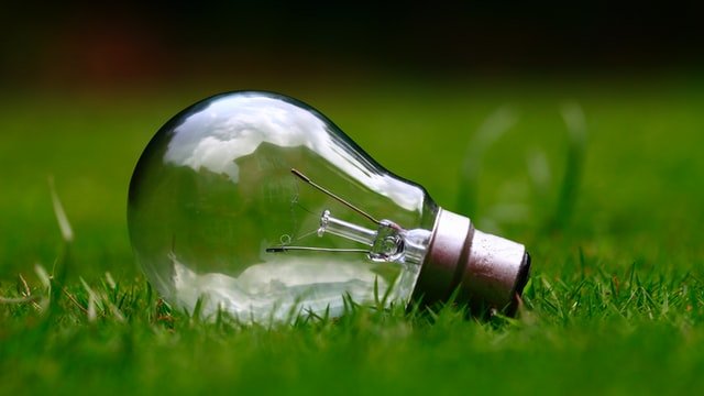 glass bulb laying on the grass